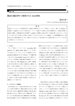 線虫の遺伝学から発見された microRNA - イレブン Monthly Chubu
