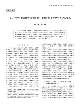 ミツバチの女王蜂分化を誘導する因子ロイヤラクチンの発見