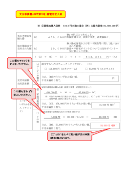 交付申請書（様式第3号）蓄電池記入例