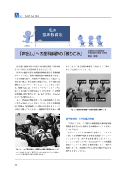 「声出し」への産科麻酔の「練りこみ」