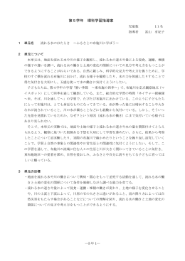 公開授業 5学年指導案（PDF）