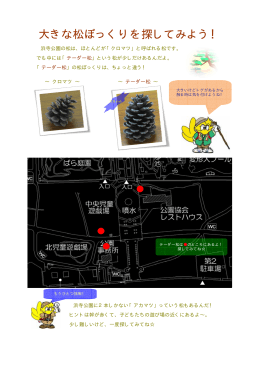 大きな松ぼっくりを探してみよう！