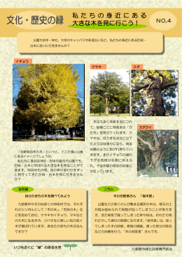 4. 私たちの身近にある大きな木を見に行こう！（PDFファイル：606KB）