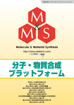 分子・物質合成プラットフォーム パンフレット 2014年