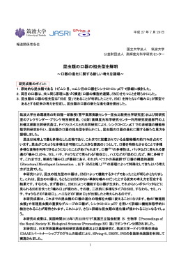 昆虫類の口器の祖先型を解明