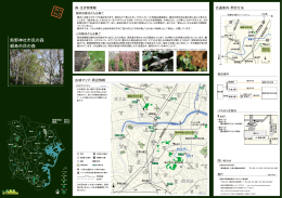 09熊野神社市民の森・綱島市民の森（PDFファイル、716KB）