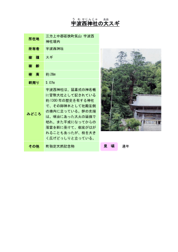 60若狭：宇波西神社の大スギ（PDF形式 122キロバイト）