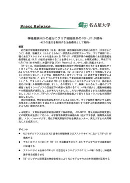 神経難病ALSの進行にグリア細胞由来のTGF-&beta;1が関与ー