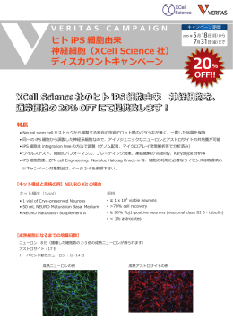 ヒト iPS 細胞由来 神経細胞（XCell Science 社