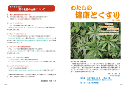 薬の名前の由来について
