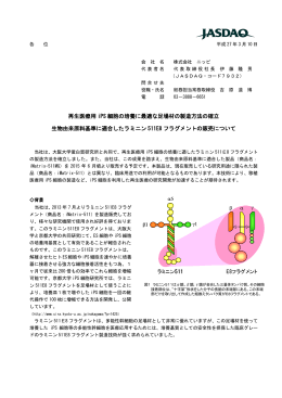 再生医療用iPS細胞の培養に最適な足場材の製造方法の確立生物由来