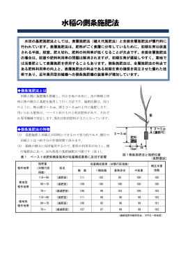水稲の側条施肥法