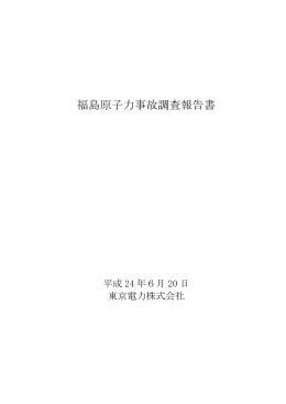 福島原子力事故調査報告書 本編（PDF 6.53MB）