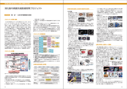 消化器内視鏡先端医療開発プロジェクト（PDF：884KB）