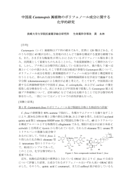 中国産 Castanopsis 属植物のポリフェノール成分に関する