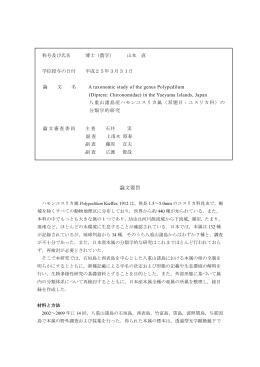 in the Yaeyama Islands, Japan 八重山諸島産ハモンユスリカ属