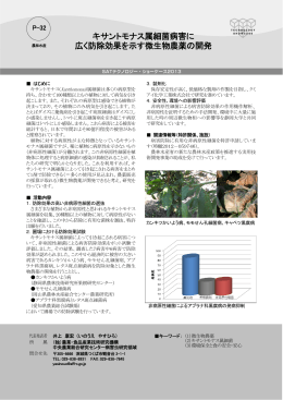 キサントモナス属細菌病害に 広く防除効果を示す微生物農薬の開発