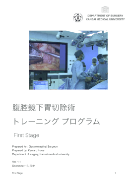 ラパマーゲン Training 1.1