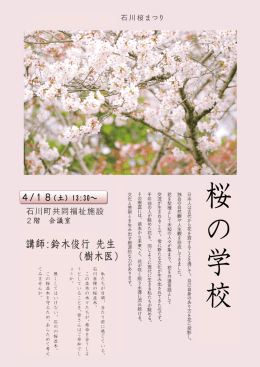 私 た ち が 日 頃 、 当 た り 前 に 感 じ て い る 、 石 川 自 慢 の 桜 並 木
