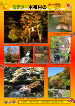 木祖村の「紅葉」は、例年10月中旬頃から見ごろを迎えます。