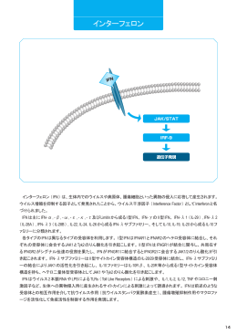 2. インターフェロン