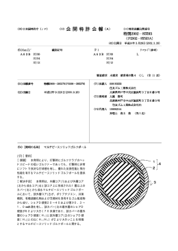 特開2002-085593