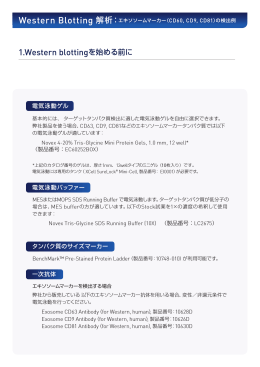 参照PDF：1.Western blottingを始める前に