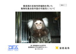 霊長類の多能性幹細胞を用いた 動物性集合胚作製の可能性について