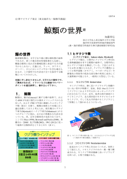 鯨類の世界※