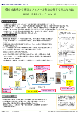 樹皮抽出液から糖類とフェノール類を分離する新たな方法 利用部微生物