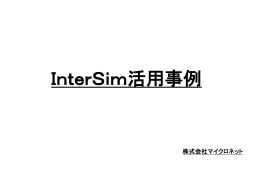 InterSim - 株式会社マイクロネット