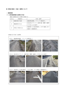 評価の項目・内容・基準について(pdf :448KB)