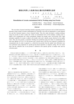 鉄粉を利用した砒素汚染土壌の洗浄無害化技術