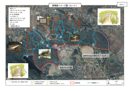 散策路イメージ図（ルート）