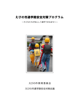 えびの市通学路安全対策プログラム (PDFファイル/603.19キロバイト)