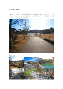 D 東ヶ丘公園