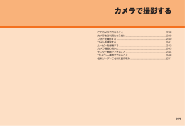 カメラで撮影する