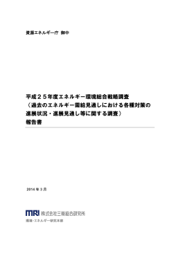 平成25年度エネルギー環境総合戦略調査 （過去の