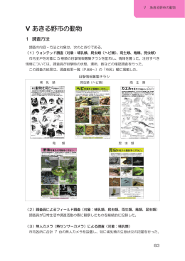 Ⅴ あきる野市の動物