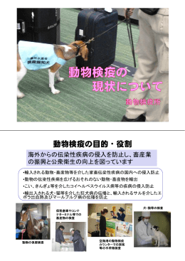 動物検疫の現状について