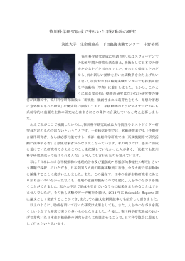 笹川科学研究助成で芽吹いた平板動物の研究