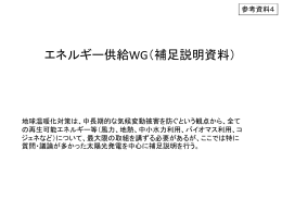 エネルギー供給WG（補足説明資料）
