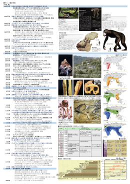 サル・人類史年表 （年代：前） 6500万年 生物の大量絶滅。恐竜絶滅