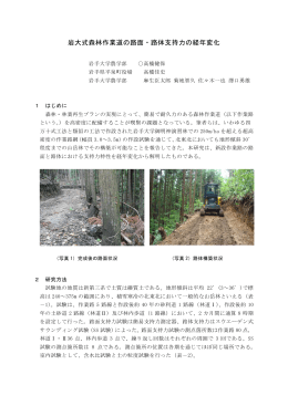 岩大式森林作業道の路面・路体支持力の経年変化（PDF：294KB）
