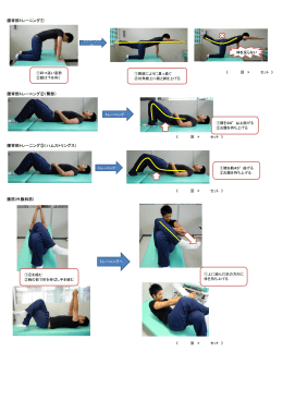 腰背部トレーニング① 腰背部トレーニング②（臀部）
