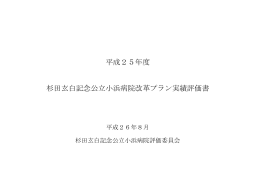平成25年度病院改革プラン実績評価書