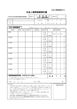 社会人職務経験報告書