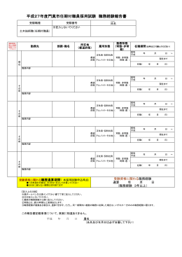 職務経験報告書（PDF：103KB）