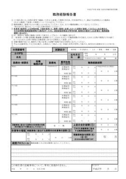 職務経験報告書