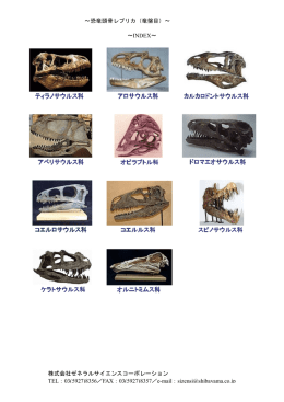 ～恐竜頭骨レプリカ（竜盤目）～ 株式会社ゼネラルサイエンス